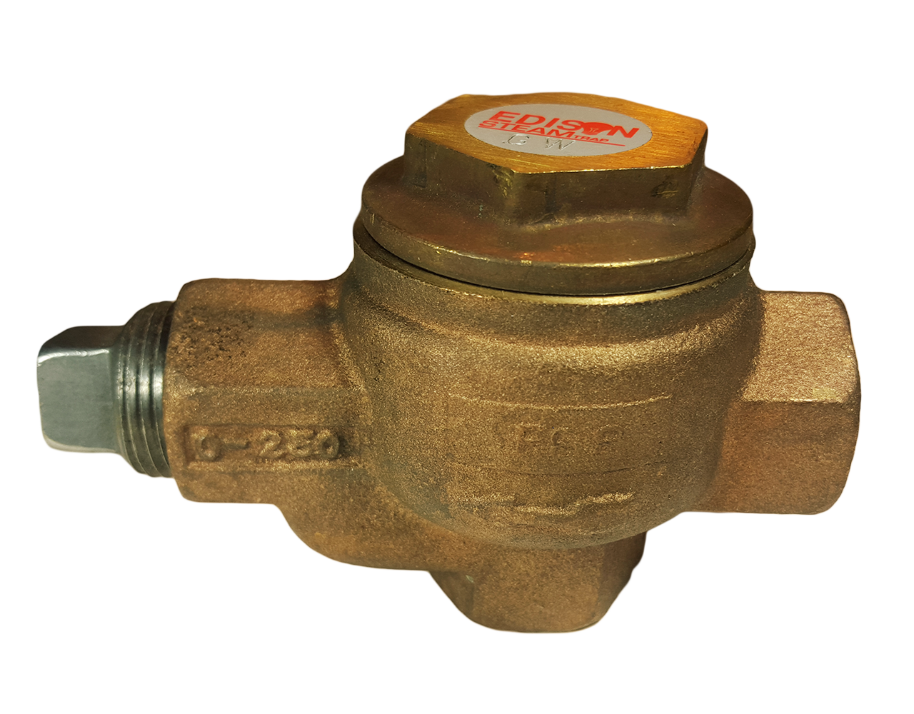 thermostatic steam traps