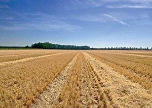 agriculture components