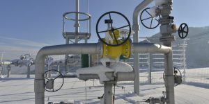 天然橡胶弹性体