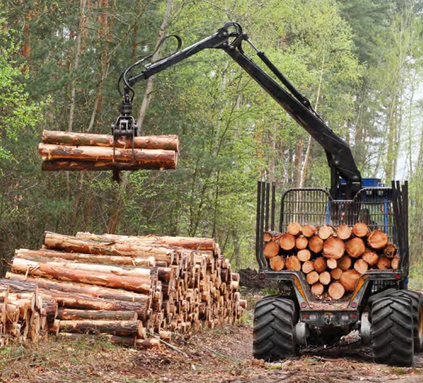 forestry belts