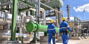 rubber spring element solutions