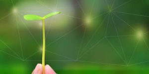 Corporate Social Responsibility