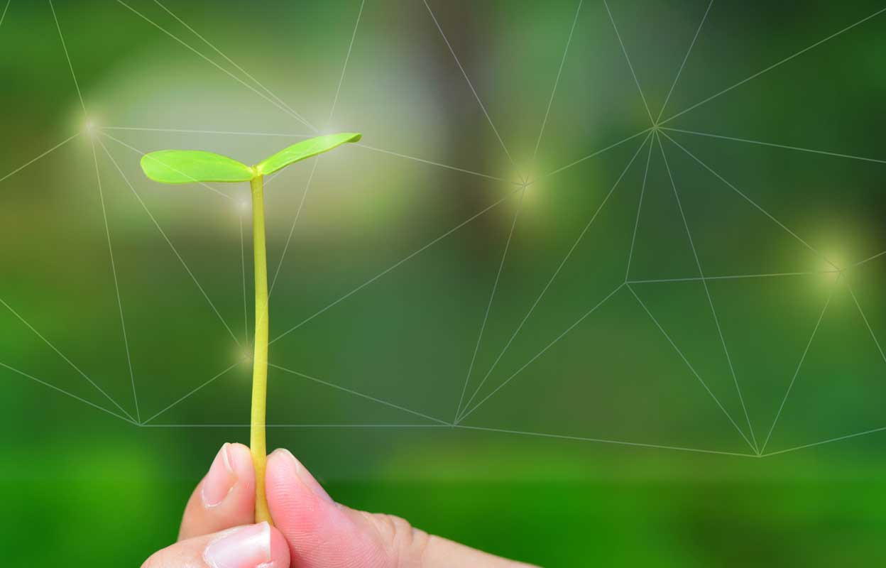 Corporate Social Responsibility