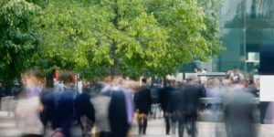 可持续发展解决方案