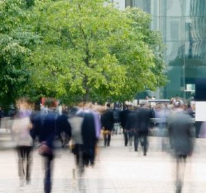 可持续发展解决方案