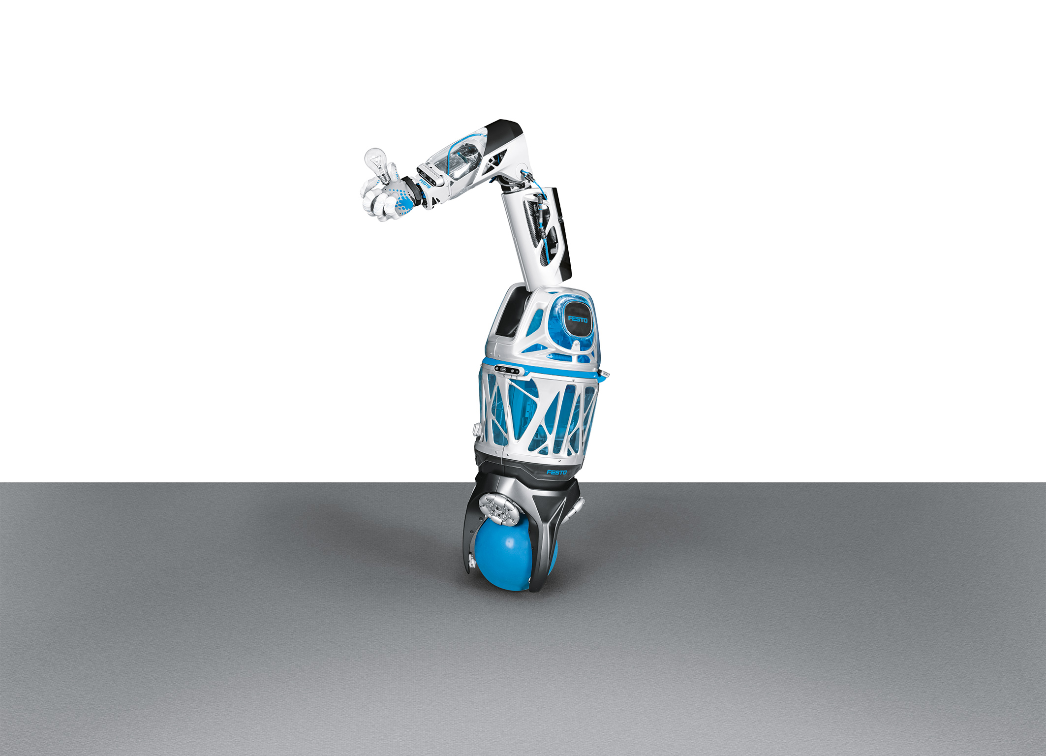 Bionic Mobile Assistant