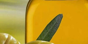 food processing elements