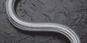 石油弹性连接器